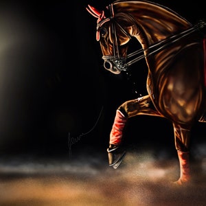 The Sport Horse