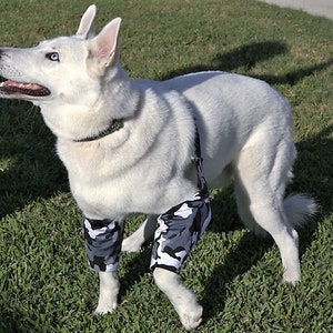 Padded Elbow Protection for Callus/Hygroma/Dysplasia/Arthritis/Pressure Sores/Post OP Surgery, Recommended by Vets (Avoid the Cone of Shame)