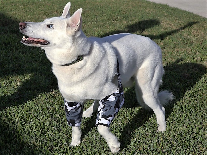 K-9 Callus Cuff, Padded Elbow Protector Sleeve for Dogs