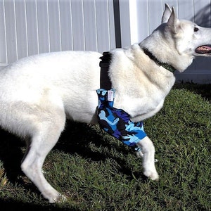 Padded Elbow Protection for Callus/Hygroma/Dysplasia/Arthritis/Pressure Sores/Post OP Surgery, Recommended by Vets (Avoid the Cone of Shame)