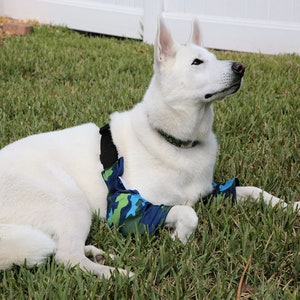 Padded Elbow Protection for Callus/Hygroma/Dysplasia/Arthritis/Pressure Sores/Post OP Surgery, Recommended by Vets (Avoid the Cone of Shame)
