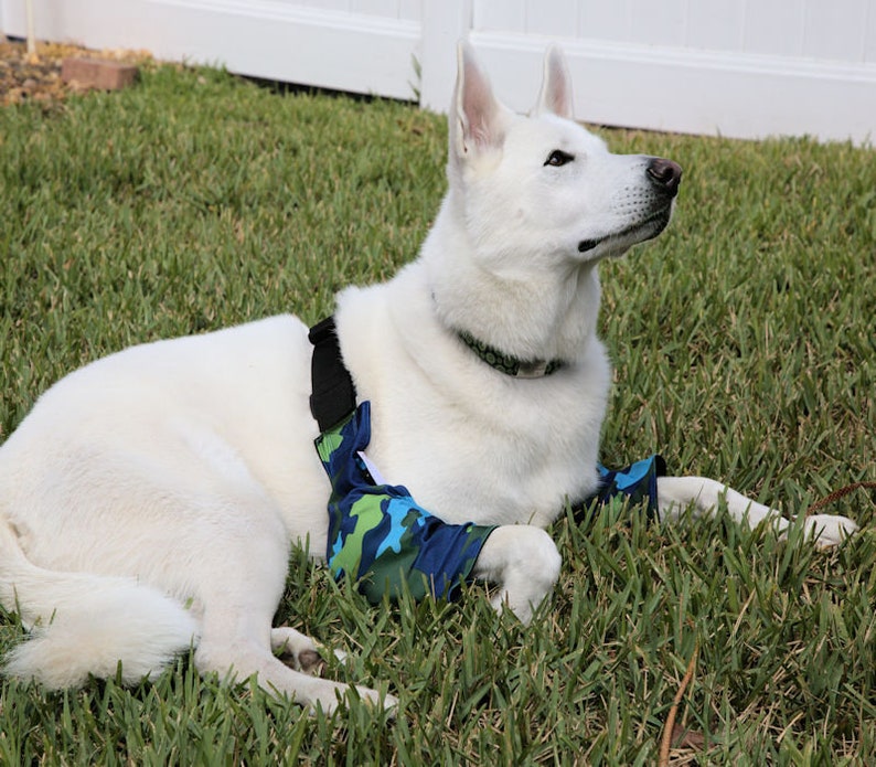 K-9 Callus Cuff, Padded Elbow Protector for Dogs