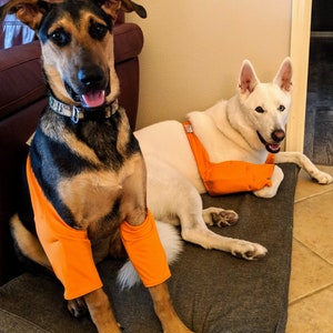 Padded Elbow Protection for Callus/Hygroma/Dysplasia/Arthritis/Pressure Sores/Post OP Surgery, Recommended by Vets (Avoid the Cone of Shame)