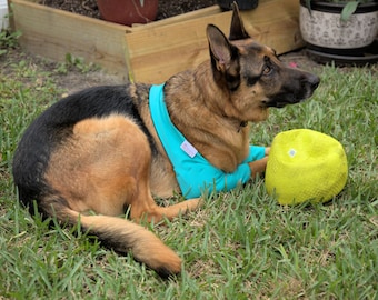 Funda protectora de codo para perros para callos, higromas y postoperatorios