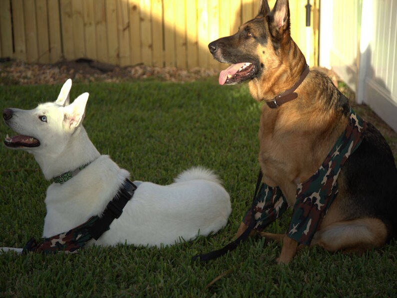 K-9 Callus Cuff Protector, Dog Elbow Sleeve for Hygroma