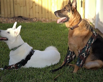 K-9 Callus Cuff, Dog Elbow Protector for Hygroma and Pressure Sores