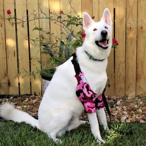 Padded Elbow Protection for Callus/Hygroma/Dysplasia/Arthritis/Pressure Sores/Post OP Surgery, Recommended by Vets (Avoid the Cone of Shame)