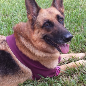 Padded Elbow Protection for Callus/Hygroma/Dysplasia/Arthritis/Pressure Sores/Post OP Surgery, Recommended by Vets (Avoid the Cone of Shame)