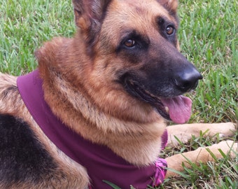 K-9 Callus Manschetten Beschützer für Hunde, Ellenbogenschutz