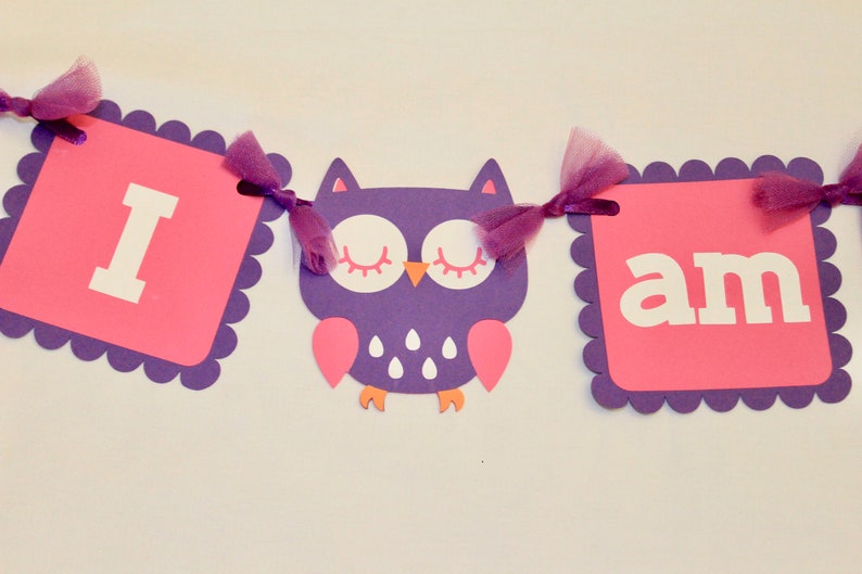 Owl Highchair Banner Owl Birthday Decor Owl Birthday Banner Etsy