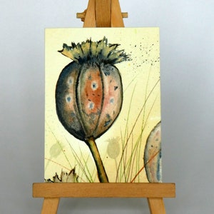 Graines de diffusion ACEO