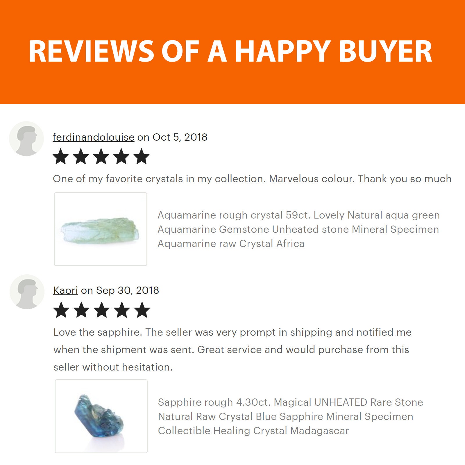 Natural Ammonite Fossil Flash Shell Mineral Specimen Rare | Etsy