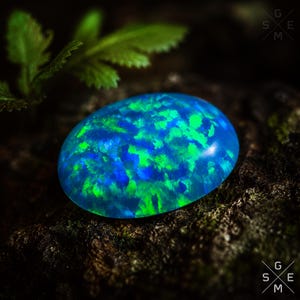 May include: Oval-shaped opal gemstone with a vibrant display of blue and green colors. The gemstone is set against a dark, textured background, with a sprig of green leaves in the upper left corner. The opal's surface reflects light.
