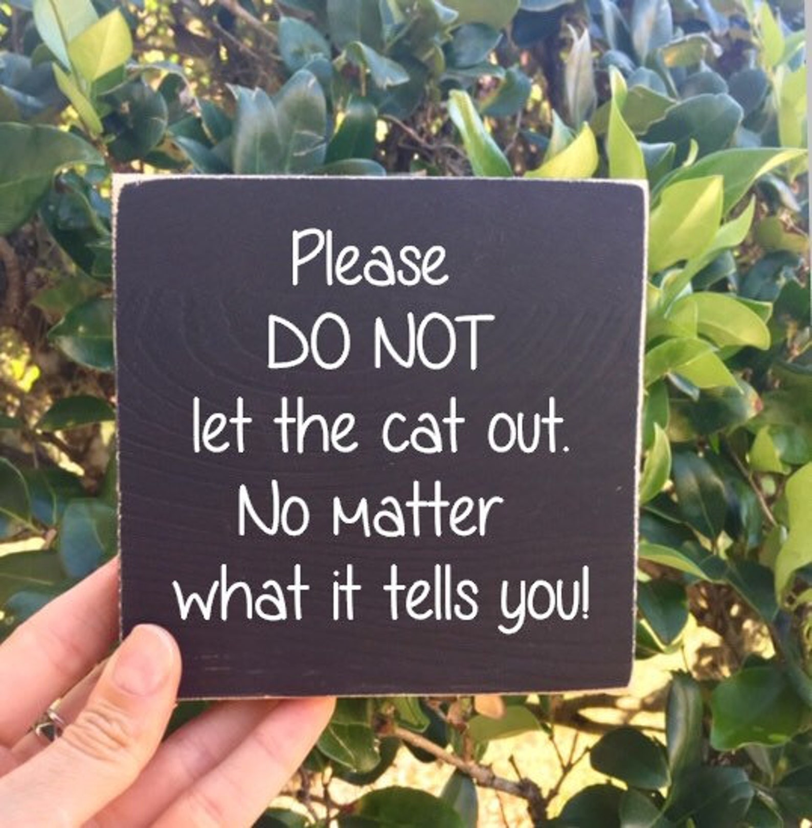 Do Not Let The Cat Out Sign Cat Sign Cat Mom Sign Cat | Etsy