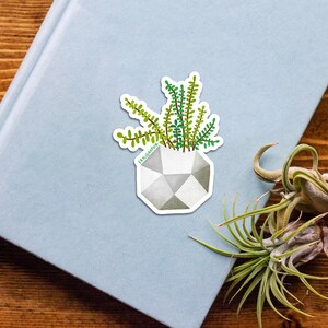 Burro&#39;s Tail Plant Vinyl Sticker - Laptop, Water bottle, Car  |  Handdrawn