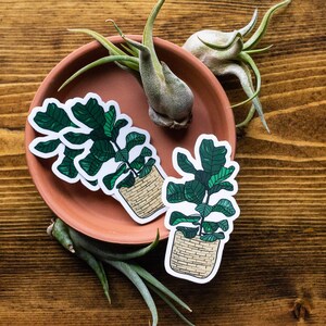 Fiddle Leaf Plant Vinyl Sticker - Laptop, Wasserflasche, Auto |  Handdrawn