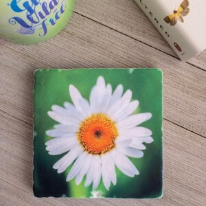 Daisy Flower Coasters ~ Flower Drink  Coasters ~ Handmade Stone Coaster Set ~ Floral Coasters ~ Flower Art ~ Flower Decor ~ Home Decor