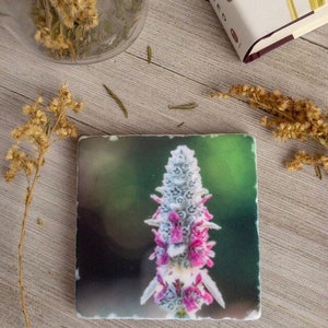 Flower Coasters ~ Flower Drink  Coasters ~ Handmade Stone Coaster Set ~ Floral Coasters ~ Flower Art ~ Flower Decor ~ Home Decor