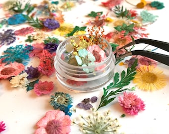 12 piezas de resina para decoración de uñas con flores secas prensadas y cuentas huecas de vidrio, joyería natural.