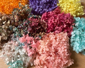 Hydrangea Leaf Dried Flowers Nail Art Decoration Natural Pressed flower Floral resin art