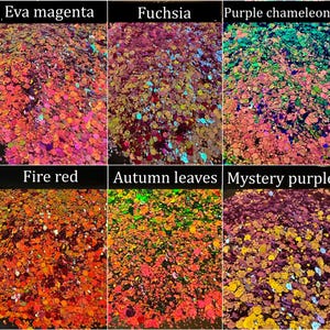 May include: A collection of six glitter samples in various colors. The samples are labeled "Eva magenta," "Fuchsia," "Purple chameleon," "Fire red," "Autumn leaves," and "Mystery purple." The glitter appears to be hexagonal in shape and reflects light.