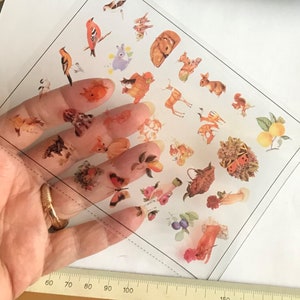 Blumen Pflanze Vögel Blätter Transparente Bilder Epoxidharz-Formenbau Werkzeugfüllung für Schmuckharz-Kunstprojekte