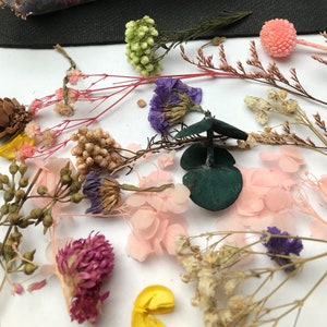 May include: Assortment of dried flowers and foliage in various colors, including pink, white, yellow, green, purple, and brown. The flowers are arranged on a white surface.
