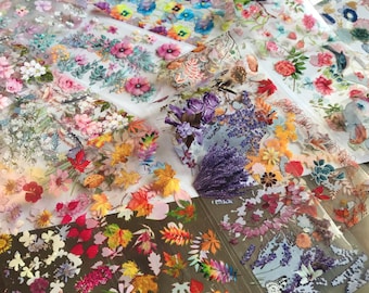 Nail Transfer Foils Stickers Mixed Flowers Rose bird Leaf Design Nail Art Decorations Foil Wraps Decals