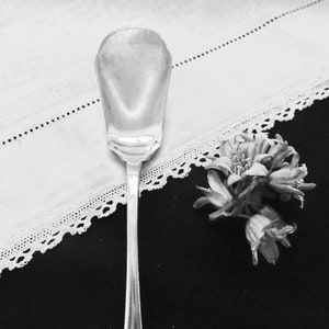 May include: A silver sugar spoon with a rounded bowl and a long, slender handle. The spoon is resting on a white lace tablecloth.