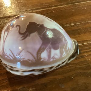 May include: A polished cowrie shell featuring a dark brown silhouette of an elephant standing in tall grass. The shell has a smooth, glossy surface with a cream-colored base and dark brown mottled patterns along the bottom edge and sides.
