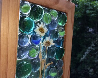 Pretty as Daisies!