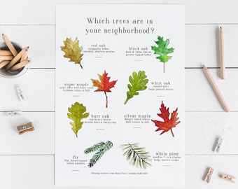 Printable Leaf Scavenger Hunt Worksheets - Home Schooling Science Worksheets - Backyard Nature Lesson For Fall Learning