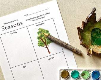 Trees Through the Seasons Worksheet - Printable Science Worksheets - Educational Activity for Home Learning Classroom - Nature Activities