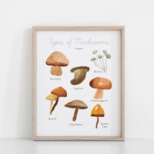 May include: A watercolor illustration of different types of mushrooms, including porcini, oyster, beech, shiitake, enoki, champignon, and pixie cap. The illustration is on a white background with the text "Types of Mushrooms" at the top.