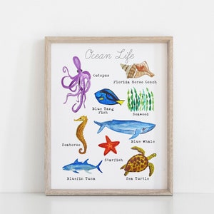 May include: A watercolor illustration of various ocean life, including an octopus, a blue tang fish, a seahorse, a blue whale, a starfish, a sea turtle, a bluefin tuna, and a Florida horse conch. The illustration is titled "Ocean Life".
