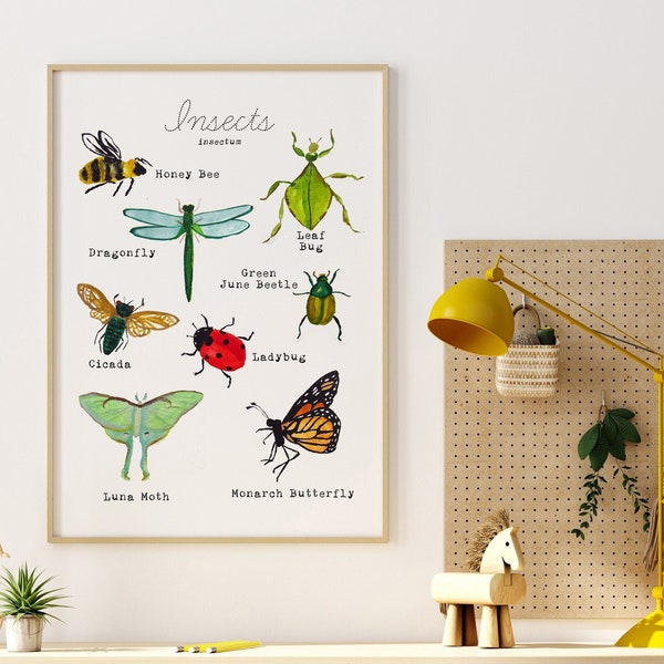 Educational Bug Poster for Home Classroom & Nursery - Insect Wall Art - Nature Decor for Kids - Printable Instant Download Field Guide Print