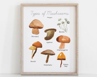 Printable Mushroom Art - Types of Mushrooms Wall Art - Kitchen Art Print - Educational Poster for Home Learning Decor