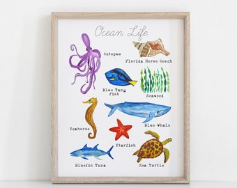 Printable Ocean Wall Art - Ocean Art Print - Sea Life Wall Art - Ocean Nursery Decor - Educational Homeschool Wall Decor