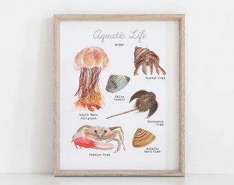 Printable Sea Life Wall Art - Aquatic Animals of Asia Art Print - Home Learning Educational Wall Art - Homeschool Decor