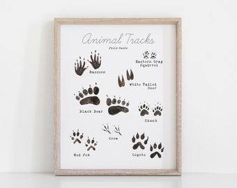 Woodland Animal Tracks Printable Wall Art - Forest Animal Wall Art - Woodland Paw Print Poster - Nature Art for Home Classroom