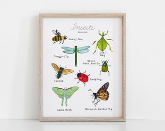 Printable Bug Wall Art - Insect Field Guide Print - Homeschool Decor - Science Wall Art - Bug Art Print - Homeschool Printables