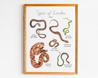 Tipos imprimibles de arte de pared de serpientes - Impresión de arte de serpientes de Asia - Arte de pared educativo de aprendizaje en el hogar - Decoración de la escuela en el hogar