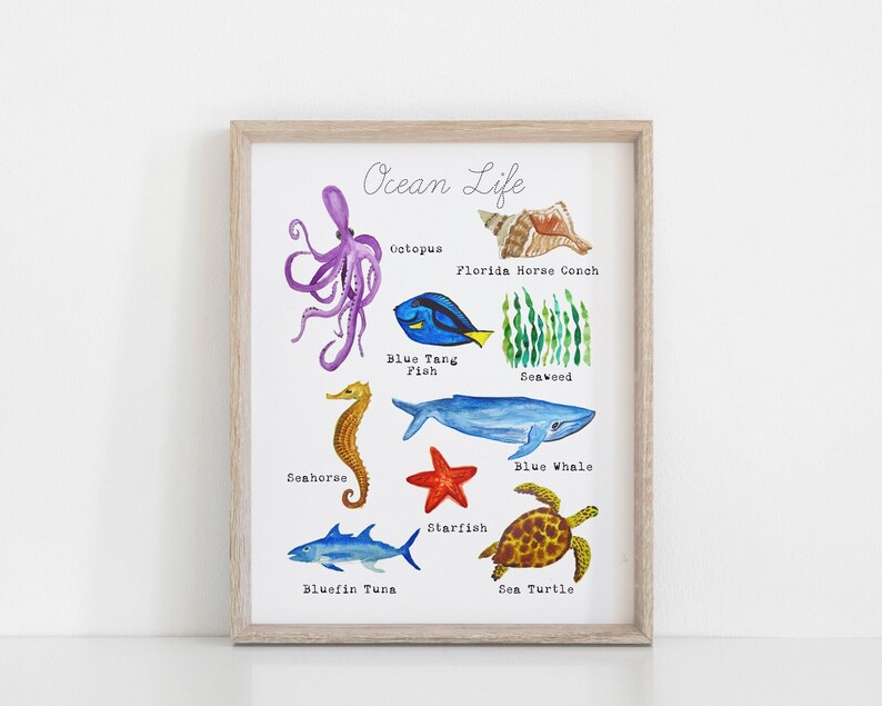 May include: A watercolor illustration of various ocean life, including an octopus, a blue tang fish, a seahorse, a blue whale, a starfish, a sea turtle, a bluefin tuna, and a Florida horse conch. The illustration is titled "Ocean Life".