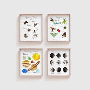 May include: Four printable educational posters with watercolor illustrations. The posters are titled "Types of Bees", "Insects", "The Solar System", and "Phases of the Moon".