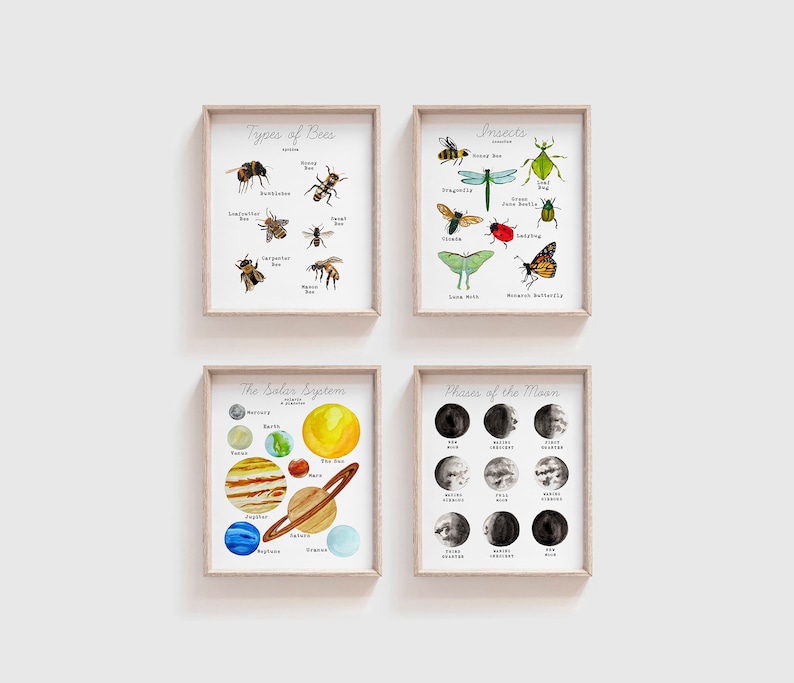 May include: Four printable educational posters with watercolor illustrations. The posters are titled "Types of Bees", "Insects", "The Solar System", and "Phases of the Moon".