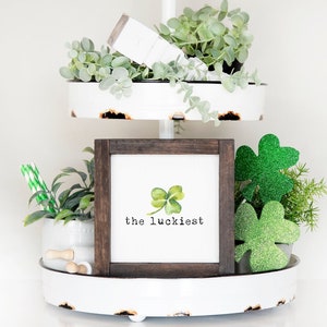 May include: A white tiered tray with green plants and a framed sign that says "the luckiest" with a watercolor shamrock.