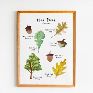 Printable Tree Art - Oak Tree Print - Leaf Wall Art - Acorn Art - Homeschool Decor - Homeschool Printable - Woodland Nursery Wall Art