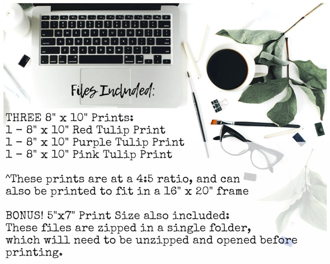 Printable Tulip Wall Art Collection Set of 3 Tulip Prints | Etsy