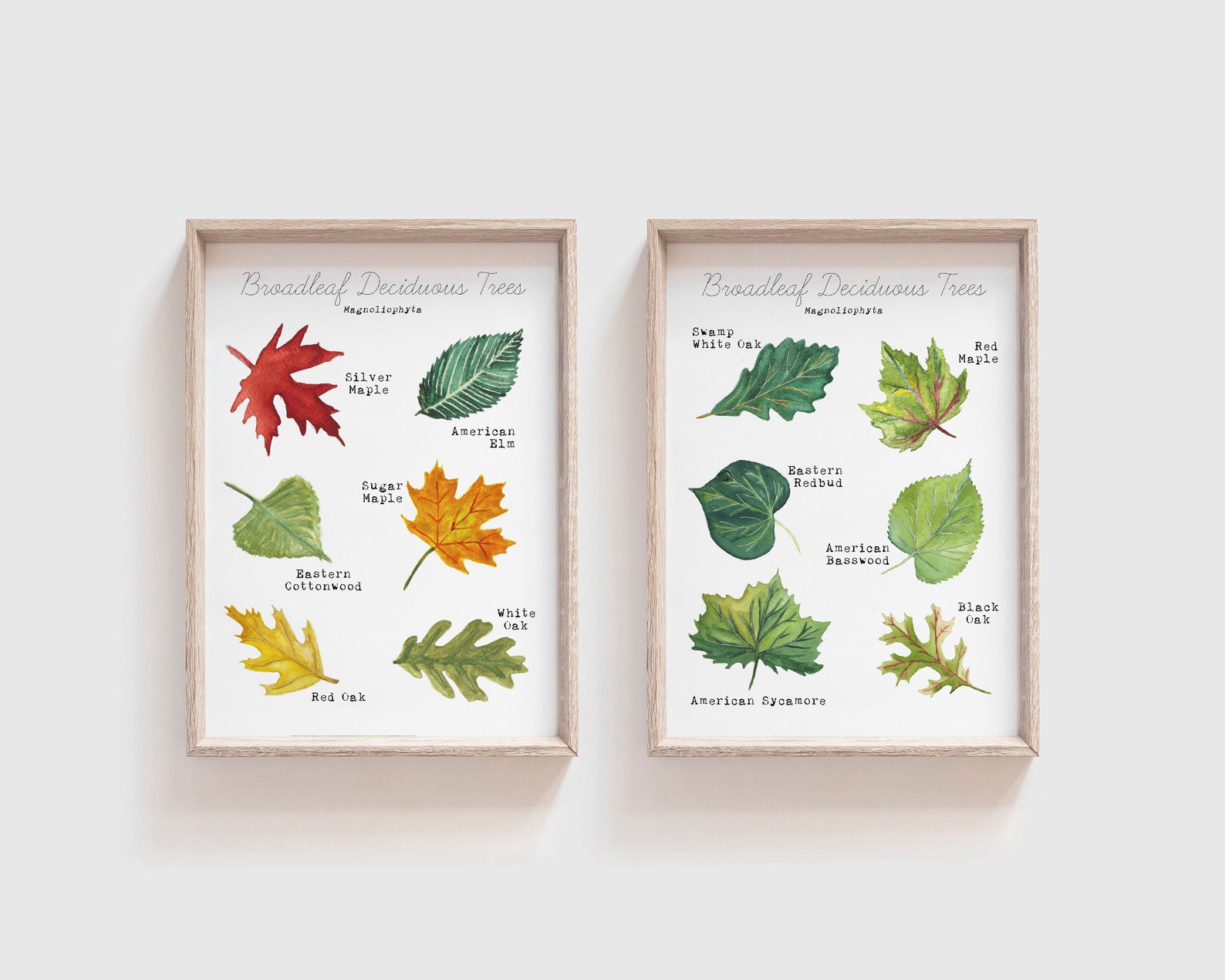 Printable Leaf Wall Art Set of 2 for Home Learning Room or Etsy