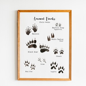 Printable Animal Wall Art - Animal Tracks Poster - Woodland Nursery ...